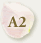 A2