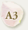 A3